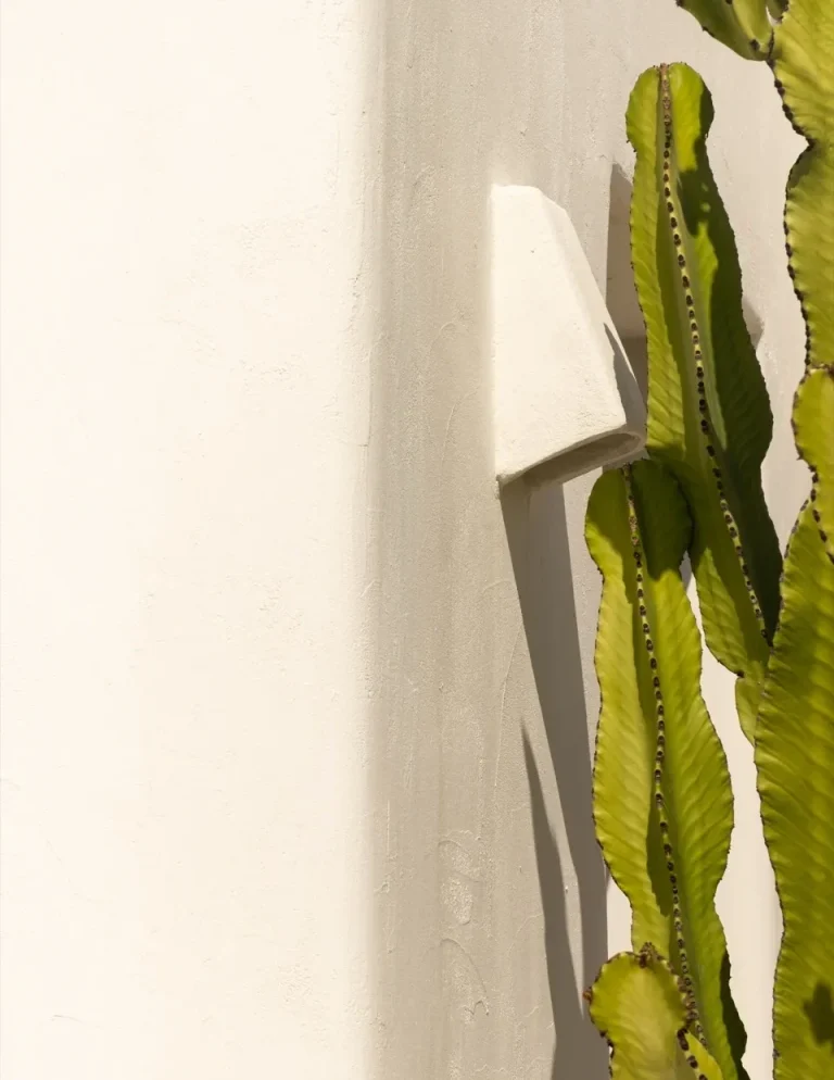 Salón moderno con sillas de madera, mesa de centro y estantería, con luz natural abundante.